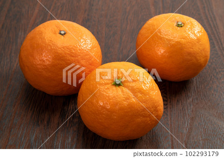 Citrus of the Rutaceae family, kala mandarin Citrus of the Rutaceae family, kala mandarin 102293179