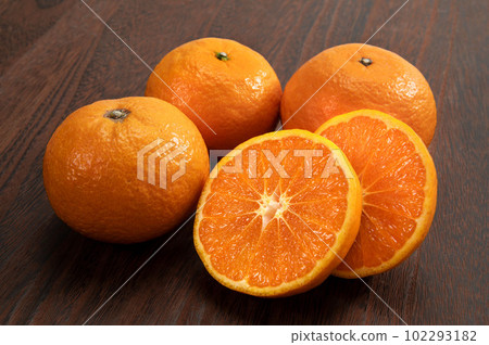 芸香科柑橘，kala mandarin 102293182