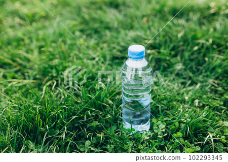 Transparent plastic water bottle in the green grass. Waste, pollution and recycling banner. The concept of pure natural drinking water, mock-up Transparent plastic water bottle in the green grass. Waste, pollution and recycling banner. The concept of pure natural drinking water, mock-up 102293345