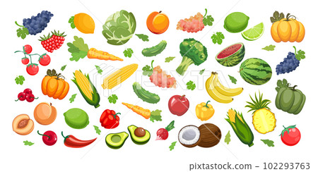 Big set of fruits and vegetables. Food, agriculture illustration, vector Big set of fruits and vegetables. Food, agriculture illustration, vector 102293763