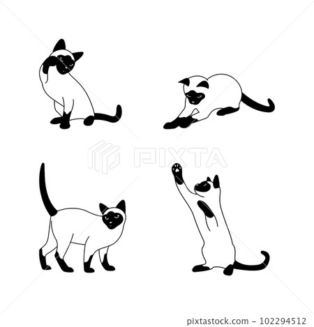 Thai cat vector set, cats in different poses 102294512