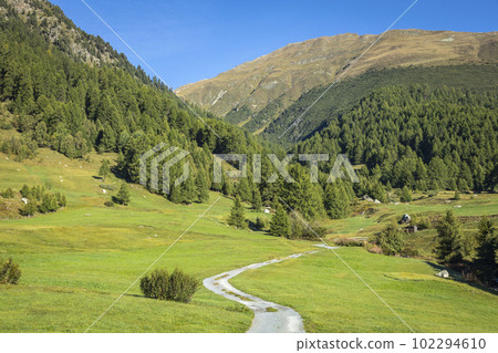 Mountain road in Engadine, country road with swiss alps, Switzerland Mountain road in Engadine, country road with swiss alps, Switzerland 102294610