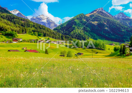 Alpine farm in Green Stubai valley near Innsbruck, Tyrol, Austria 102294613