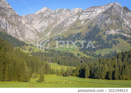 Dramatic landscape of swiss alps in Engelberg, Obwalden, Switzerland 102294623