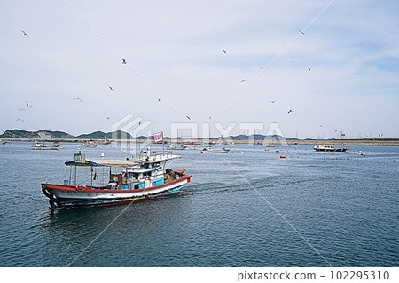 seaside landscape seaside landscape 102295310