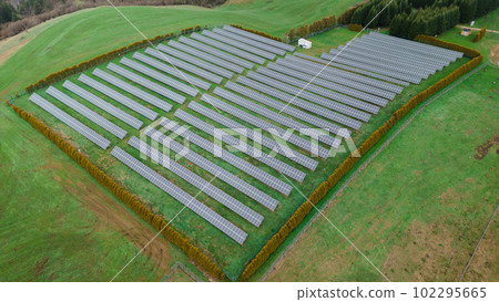 A wide-angle shot of solar panels set amidst a lush green forest. The contrast between nature and technology is striking, as the panels provide a powerful reminder of our responsibility to protect the 102295665