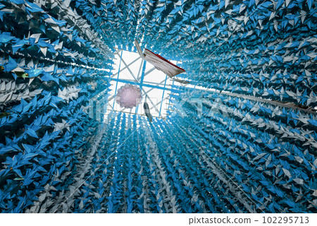 Origami cranes at the Michinoku Sendai Tanabata Festival, one of Tohoku's three major summer festivals Origami cranes at the Michinoku Sendai Tanabata Festival, one of Tohoku's three major summer festivals 102295713