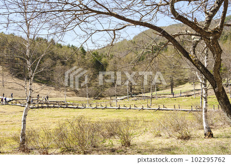 長野縣諏訪郡富士見町入笠山入笠濕地（春季） 102295762