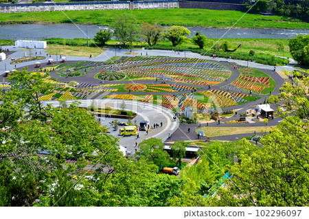 A large flowerbed at the main venue of the ``Flower and Forest Fair Future Forest Sendai 2023'' overlooking the Aobayama Castle Honmaru ruins A large flowerbed at the main venue of the ``Flower and Forest Fair Future Forest Sendai 2023'' overlooking the Aobayama Castle Honmaru ruins 102296097