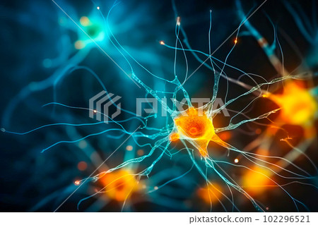 An image of neurons involved in the regulation of sexual behavior, such as those in the hypothalamus. Generative Ai. 102296521