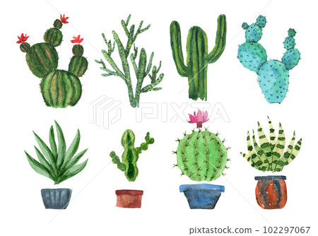 Set of cute sketch watercolor green and blue cactus with different pots. Bright striped and dotted watercolour succulents and cacti for stickers, home decor, nature banner design 102297067