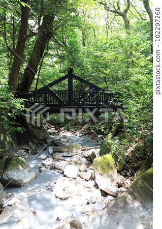 A natural hot spring that flows into the river of Kirishima A natural hot spring that flows into the river of Kirishima 102297260