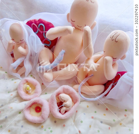 Understanding fetal growth from implantation to delivery Understanding fetal growth from implantation to delivery 102297410
