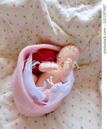 Fetus sleeping peacefully in the cradle of the womb Fetus sleeping peacefully in the cradle of the womb 102297467