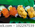 sea urchin and salmon roe 102297539