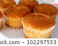 cupcake  102297553