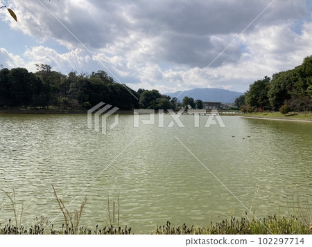 是奈良縣橿原市的神社、橿原神宮的池塘、深田池的風景。 是奈良縣橿原市的神社、橿原神宮的池塘、深田池的風景。 102297714