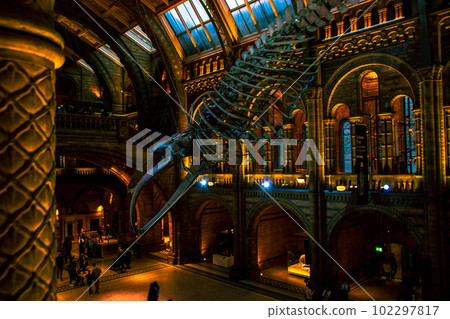 Beautiful stuffed animals at the National Museum 102297817