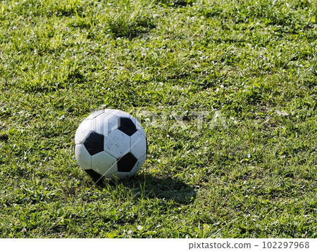 草地上的足球 102297968