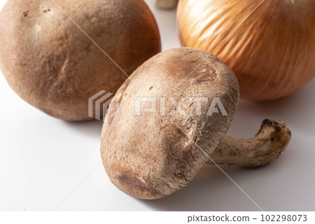 Shiitake 102298073