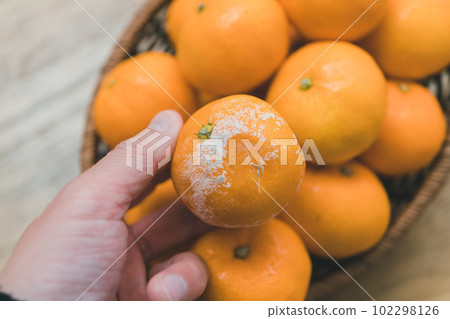 Rotten tangerines 102298126