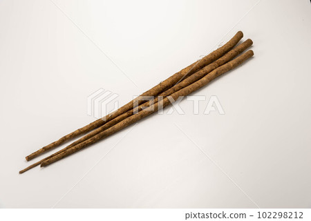 fresh ground burdock 102298212