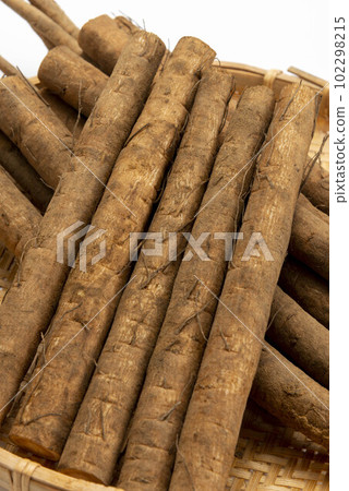 fresh ground burdock 102298215