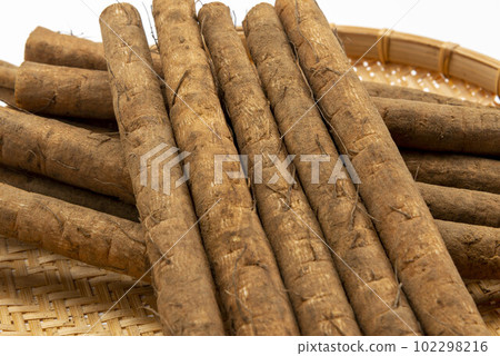 新鮮牛蒡 102298216