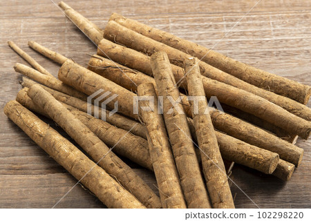 fresh ground burdock 102298220