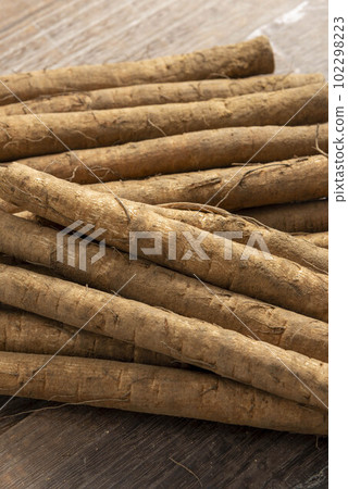 fresh ground burdock 102298223