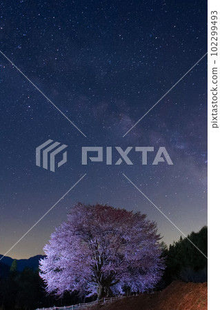 Katashina Village Tenno Sakura and Milky Way Katashina Village Tenno Sakura and Milky Way 102299493