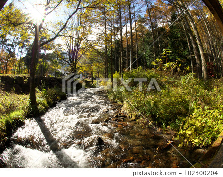 A stream in the mountains of Nagano A stream in the mountains of Nagano 102300204
