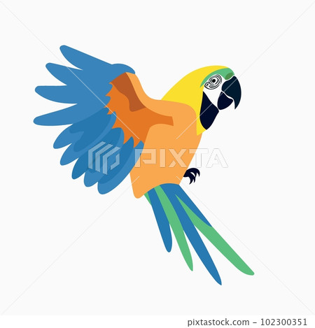 animal parrot macaw flying animal parrot macaw flying 102300351