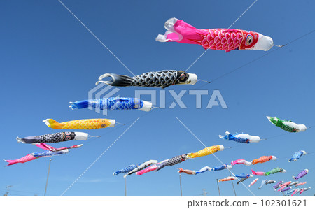 Group swimming Group swimming 102301621