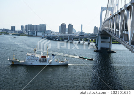 東京灣景觀 東京灣景觀 102301625