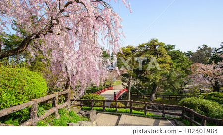 日本春天早晨弘前城青森縣的美麗風景 日本春天早晨弘前城青森縣的美麗風景 102301983