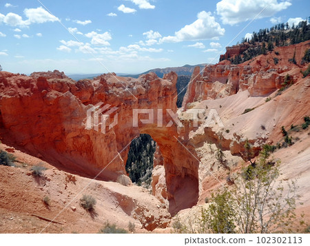 Landscape of Bryce Canyon National Park, Utah, USA, 102302113