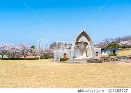 藍天、盛開的櫻花和草坪廣場 | 戶外音樂廳 | 加賀市中央公園 | 石川縣加賀市 藍天、盛開的櫻花和草坪廣場 | 戶外音樂廳 | 加賀市中央公園 | 石川縣加賀市 102302397