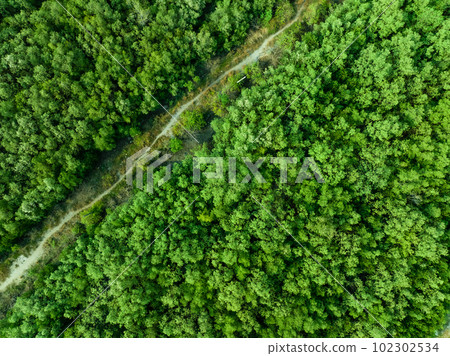 Aerial top view of green forest and forest trail. Drone view of green trees captures CO2. Green trees background for carbon neutrality and net zero emissions concept. Sustainable green environment. Aerial top view of green forest and forest trail. Drone view of green trees captures CO2. Green trees background for carbon neutrality and net zero emissions concept. Sustainable green environment. 102302534