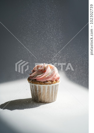 Cupcake on a dark background, which is sprinkled on top. Cupcake on a dark background, which is sprinkled on top. 102302739