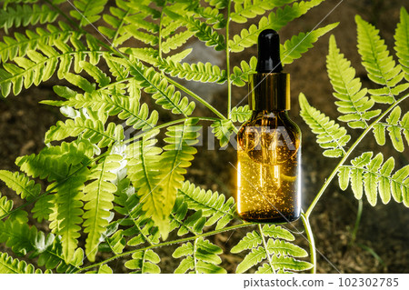 A bottle of serum on a fern. A bottle of serum on a fern. 102302785