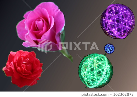 淺玫瑰色 淺玫瑰色 102302872