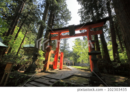 出羽三山神社峰會鳥居 出羽三山神社峰會鳥居 102303435