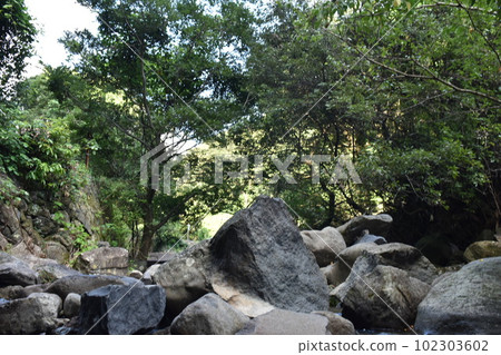 夏天河 夏天河 102303602