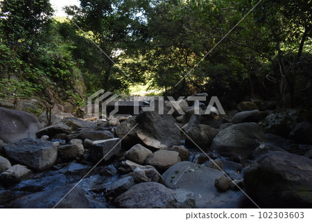 夏天河 夏天河 102303603