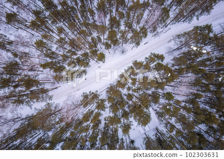 Aerial view of the road in the winter forest with high pine or spruce trees covered by snow. Driving in winter. Aerial view of the road in the winter forest with high pine or spruce trees covered by snow. Driving in winter. 102303631