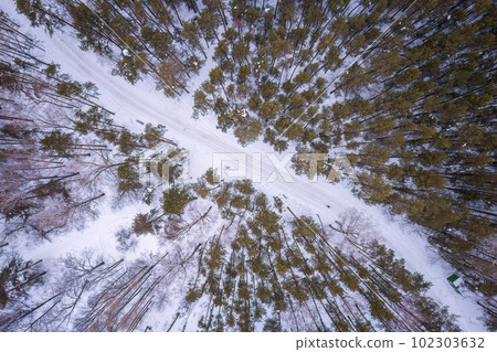 Aerial view of the road in the winter forest with high pine or spruce trees covered by snow. Driving in winter. Aerial view of the road in the winter forest with high pine or spruce trees covered by snow. Driving in winter. 102303632