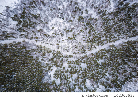 Aerial view of the road in the winter forest with high pine or spruce trees covered by snow. Driving in winter. Aerial view of the road in the winter forest with high pine or spruce trees covered by snow. Driving in winter. 102303633