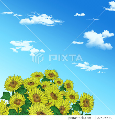 天空和向日葵插圖素材 102303670