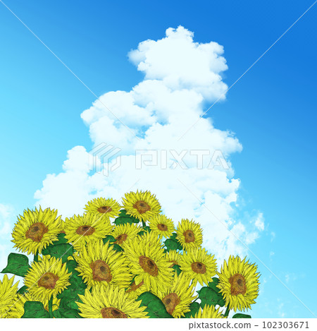 積雨雲和向日葵插圖素材 積雨雲和向日葵插圖素材 102303671